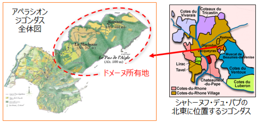 ピエール・アマデュー CDR（コート・デュ・ローヌ）ルルピエール 白 2020 / Pierre Amadieu  Cotes du Rhone Roulepierre AOC, Blanc 20203