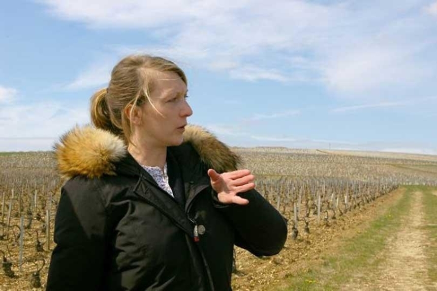 シャトー ド ベル　シャブリ テロワール ド ベル 2020 / Château de Béru Chablis Terroirs de Béru 20205