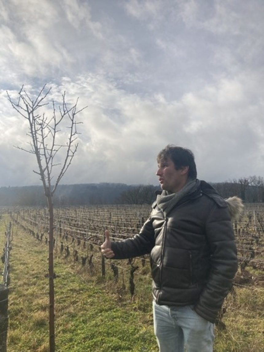 ドメーヌ・シャルディニ サン ヴェラン ヴァン マセラシオン 2022 / Domaine Chardigny Saint Veran Vin maceration 20224