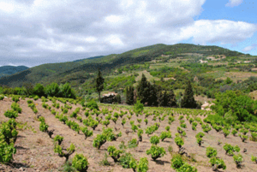 ドメーヌ・ピエール・クロス レ・コスト ミネルヴォア 2022 / Domaine Pierre Cros Les Costes AOC Minervois 20227