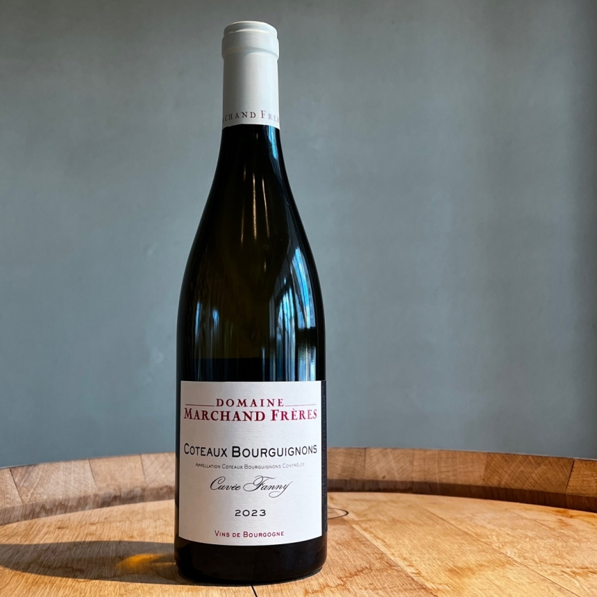 ドメーヌ マルシャン・フレール コトー・ブルギニヨン ブラン キュヴェ・ファニ　2023 / Domaine Marchand Freres Coteaux Bourguignons Blanc Cu1