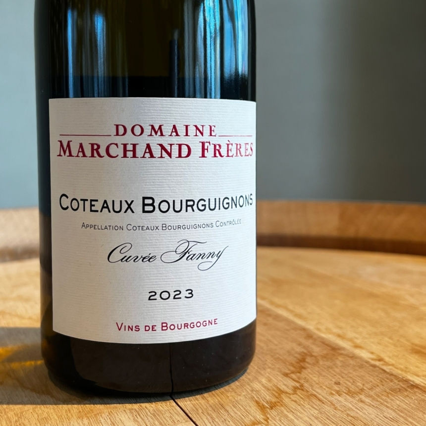 ドメーヌ マルシャン・フレール コトー・ブルギニヨン ブラン キュヴェ・ファニ　2023 / Domaine Marchand Freres Coteaux Bourguignons Blanc Cu2