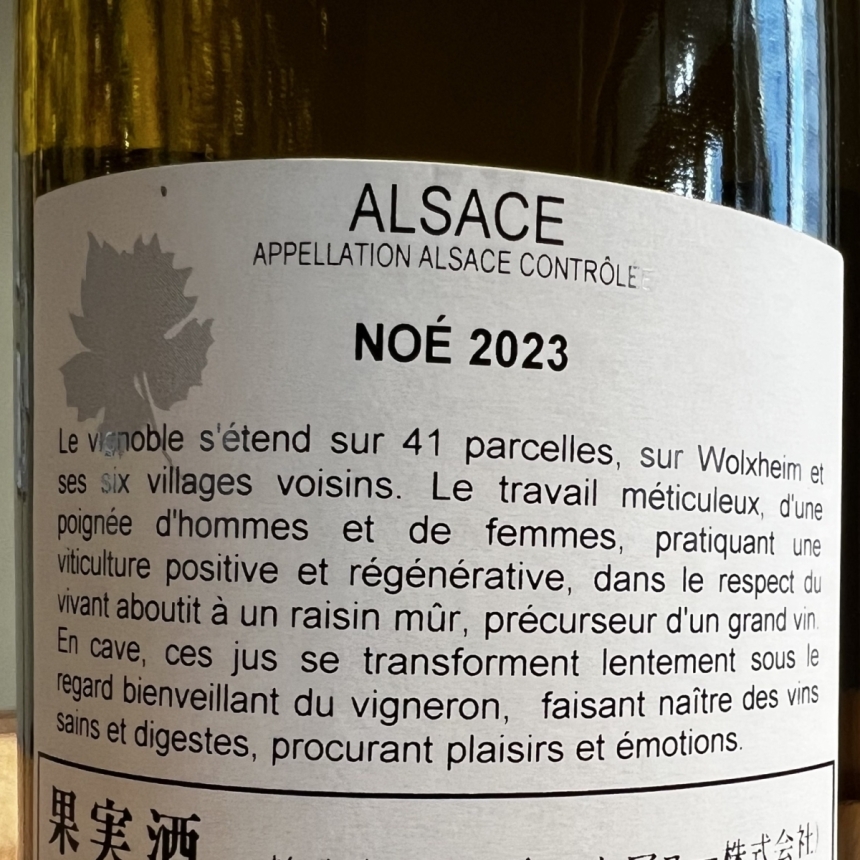 ジョセフ・シャルシュ ノエ 2023 / Joseph Scharsch Noe 20233