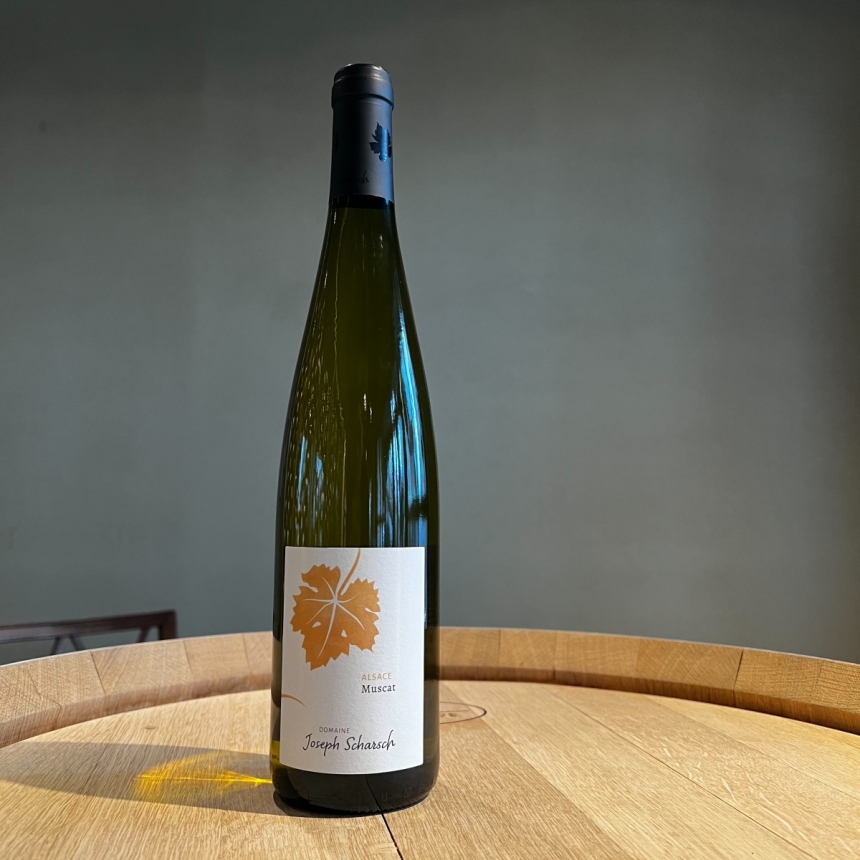 ジョセフ・シャルシュ ミュスカ 2024 / Joseph Scharsch Muscat 20241
