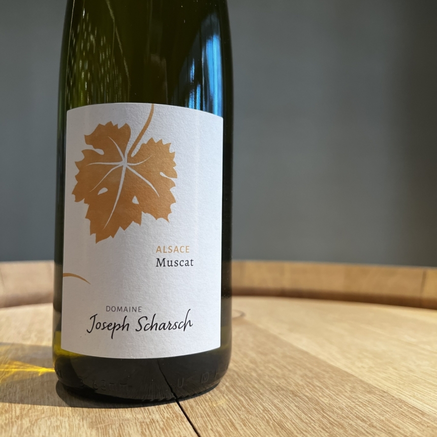 ジョセフ・シャルシュ ミュスカ 2024 / Joseph Scharsch Muscat 20242