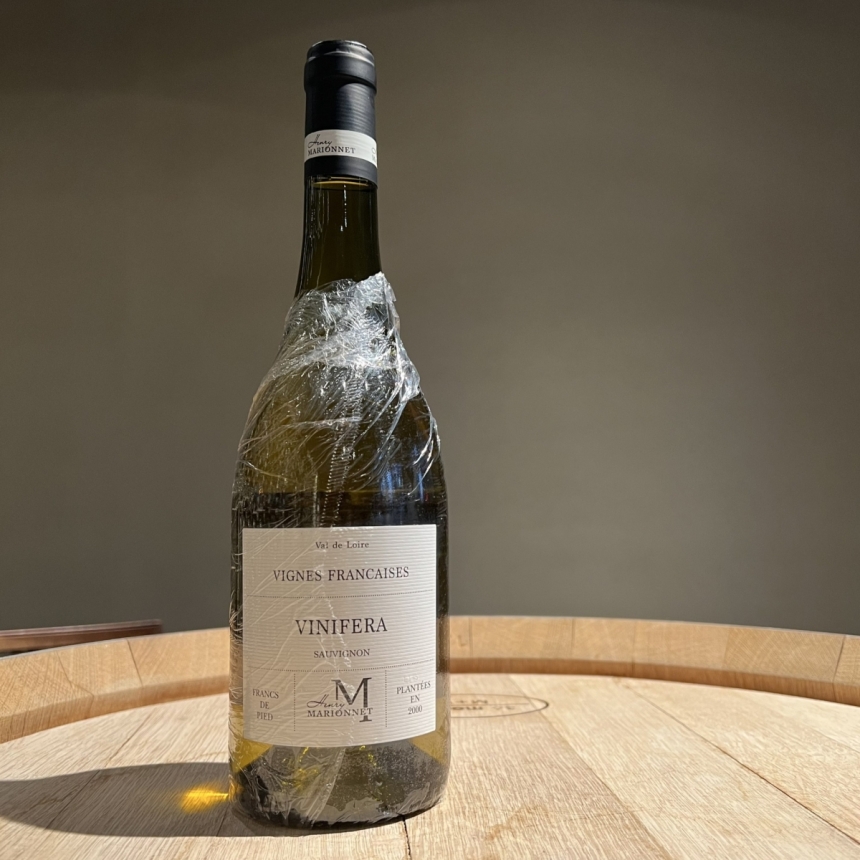 アンリ・マリオネ ヴィニフェラ・ソーヴィニヨン 2024 / Henry Marionnet Vinifera Sauvignon 20241