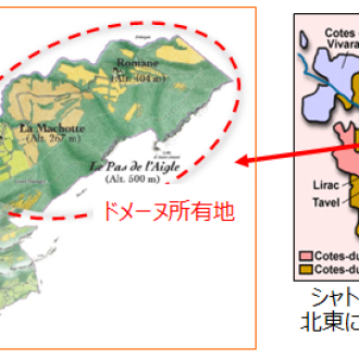 ピエール・アマデュー CDR(コート・デュ・ローヌ)ルルピエール 白 2020 / Pierre Amadieu Cotes du Rhone Roulepierre AOC, Blanc 2020サムネイル3