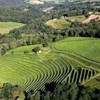 カーヴ ド ガン ジュランソン シャトー ド ナヴァイユ 2017 / Cave de Gan Jurancon Chateau de Navailles 2017サムネイル3