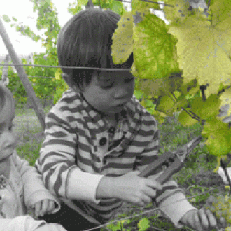 ドメーヌ・ルリエーヴル オーセロワ(AOC コート・ド・トゥール) 白 2022 / Domaine Lelievre Auxerrois AOC Cotes de Toul, Blanc 2022サムネイル6