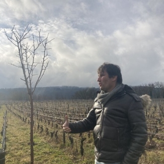 ドメーヌ・シャルディニ サン ヴェラン ヴァン マセラシオン 2022 / Domaine Chardigny Saint Veran Vin maceration 2022サムネイル4