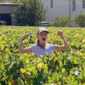 フランソワ・ゴヌー ムルソー クロ・デ・メ・シャヴォー モノポール 2021 / François Gaunoux Meursault Clos des Meix Chavaux MONOPOLE 2サムネイル6