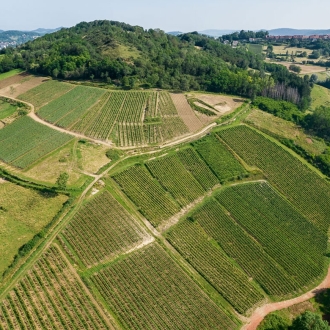 ドメーヌ・ピニエ クレマン・デュ・ジュラ・ロートル・サン・スフル NV / Domaine Pignier CREMANT DU JURA L’AUTRE SANS SOUFRE NVサムネイル5