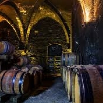 ドメーヌ・ピニエ クレマン・デュ・ジュラ・ロートル・サン・スフル NV / Domaine Pignier CREMANT DU JURA L’AUTRE SANS SOUFRE NVサムネイル7