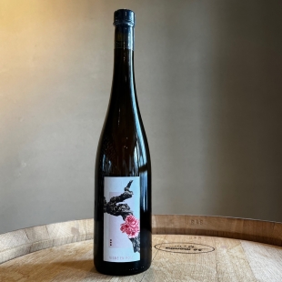 ヴィニョブル・デュ・レヴール ヴィーニュ・アン・ローズ / Vignoble du Rêveur Vigne en Rose