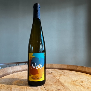 ジョセフ・シャルシュ ノエ 2023 / Joseph Scharsch Noe 2023