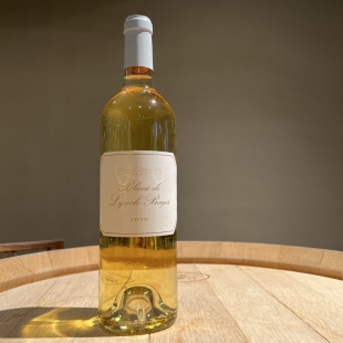 シャトー・ランシュ・バージュ ブラン・ド・ランシュ・バージュ 2020 / Château Lynch-Bages Blanc de Lynch-Bages 2020